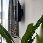 Apartment Guzman - Molinet *